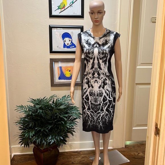 Alexander McQueen Dresses & Skirts - Alexander McQueen